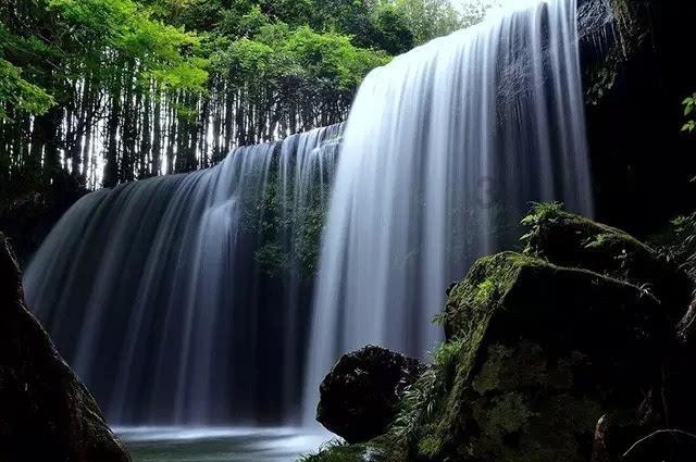 小汪汪
